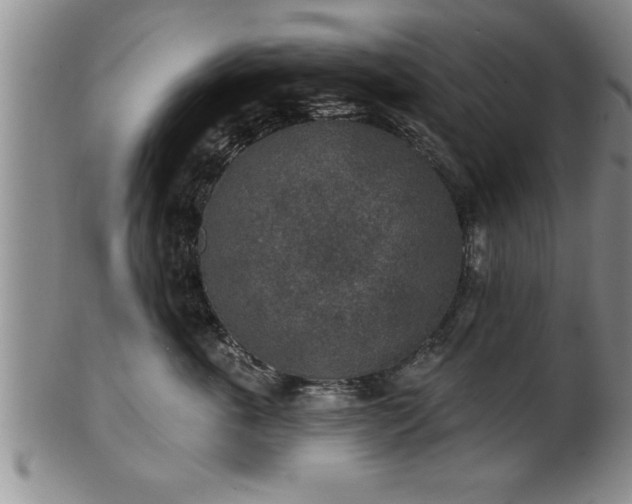 X0000102360763200808081130