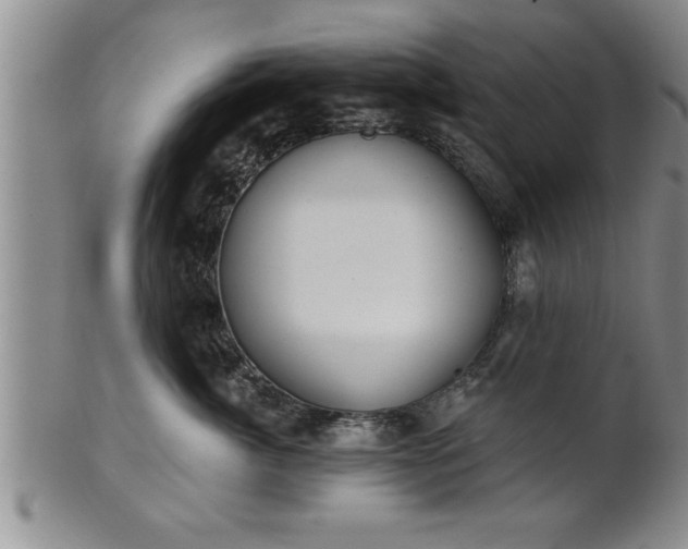 X0000102360764200808081130