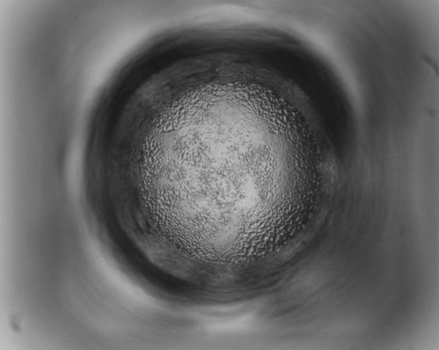 X0000102360765200808081130