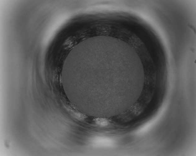 X0000102360766200808081130