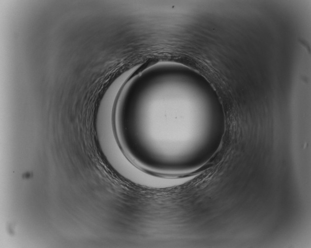 X0000102360769200808081129