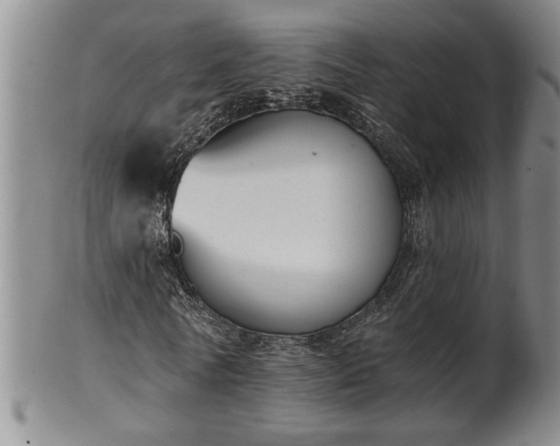 X0000102360770200808081129