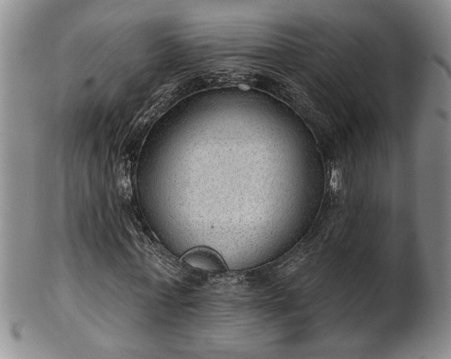 X0000102360771200808081129