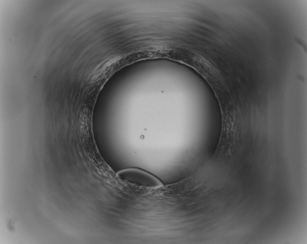 X0000102360773200808081129