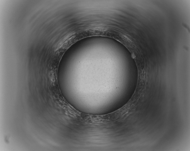 X0000102360774200808081129