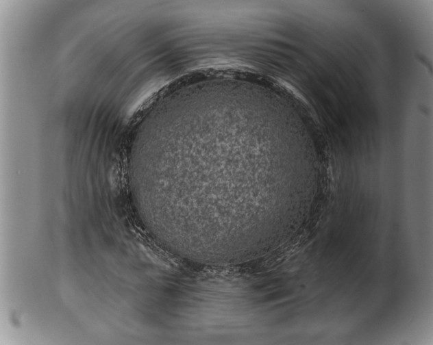 X0000102360775200808081129