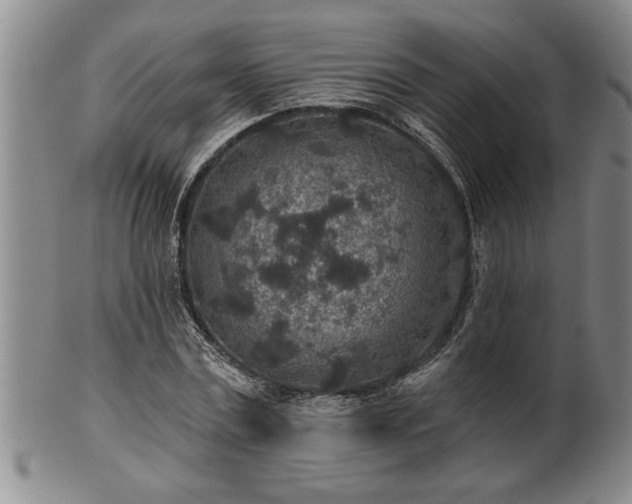 X0000102360779200808081129