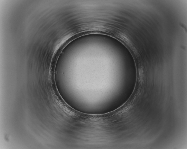 X0000102360780200808081129