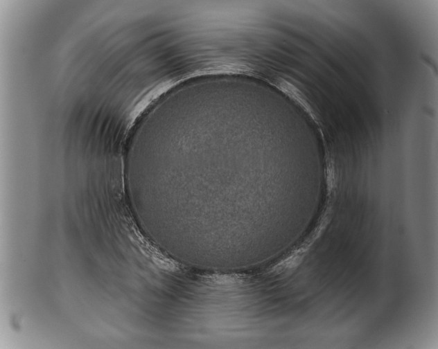 X0000102360781200808081129