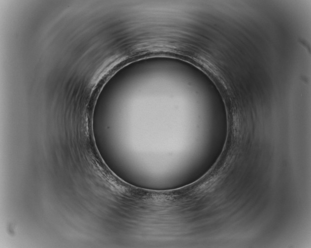 X0000102360782200808081129