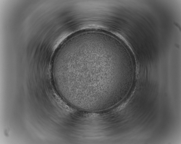 X0000102360783200808081129