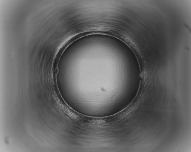 X0000102360784200808081129