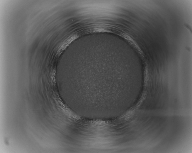 X0000102360785200808081129