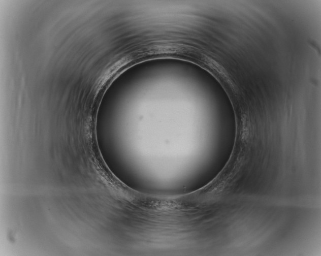X0000102360786200808081129