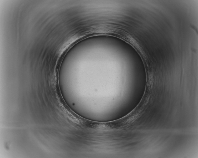 X0000102360787200808081129