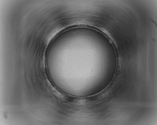X0000102360791200808081129