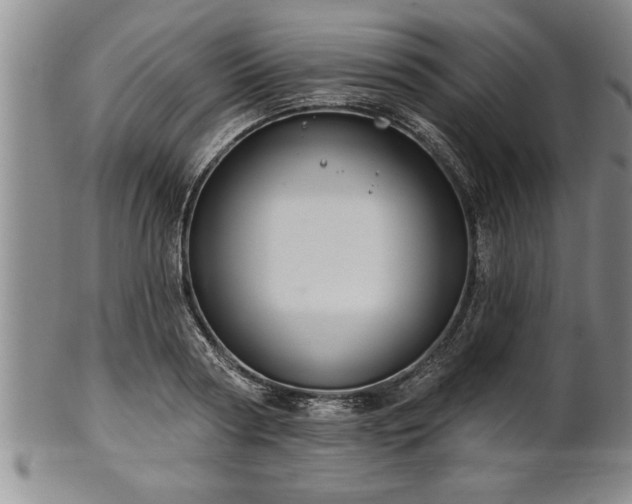 X0000102360794200808081129