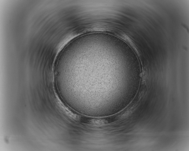 X0000102360795200808081129