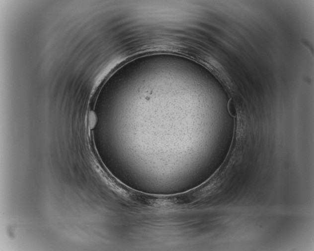 X0000102360796200808081129