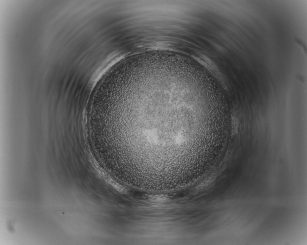 X0000102360798200808081129