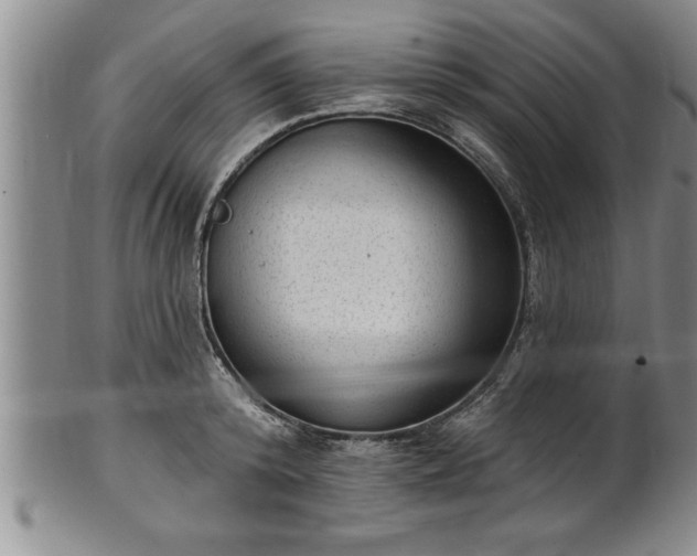 X0000102360800200808081129