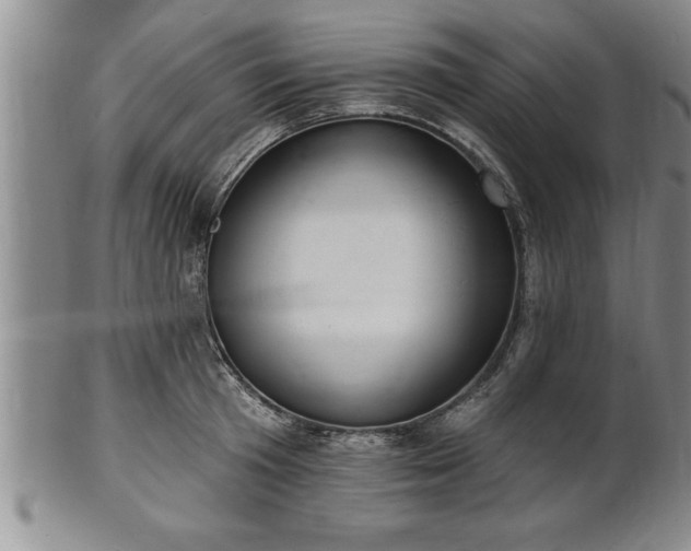 X0000102360801200808081129