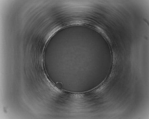 X0000102360802200808081129