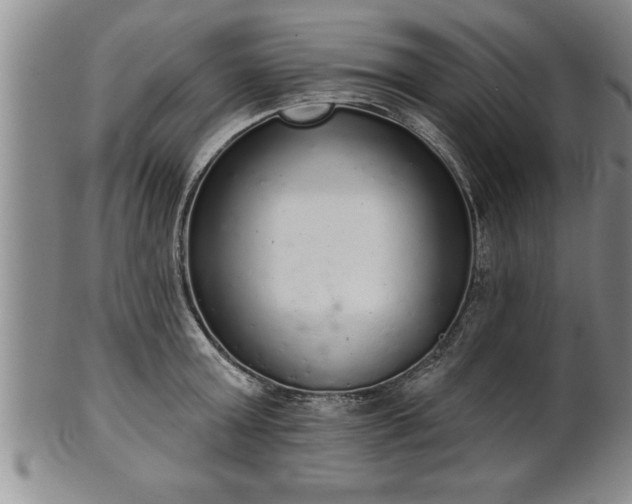 X0000102360803200808081129