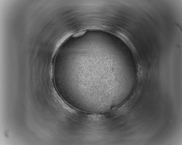 X0000102360804200808081129