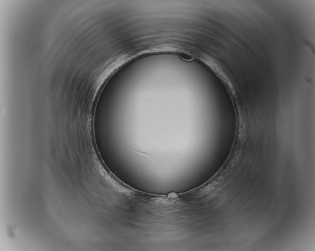 X0000102360805200808081129