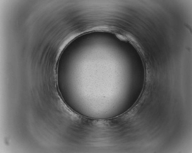X0000102360808200808081129