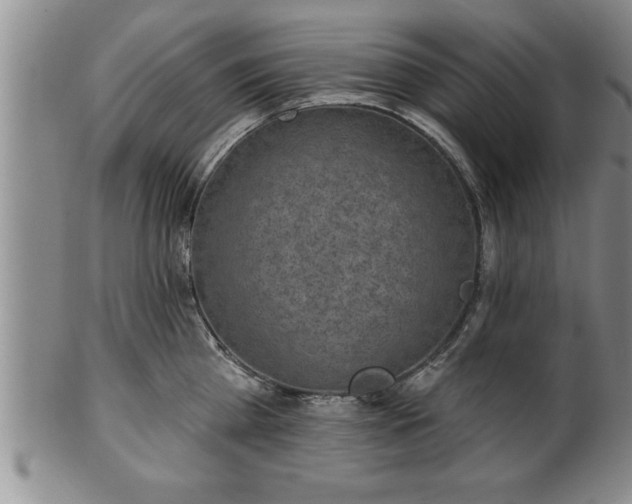 X0000102360809200808081129