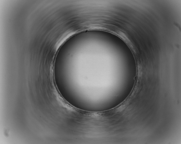X0000102360814200808081129