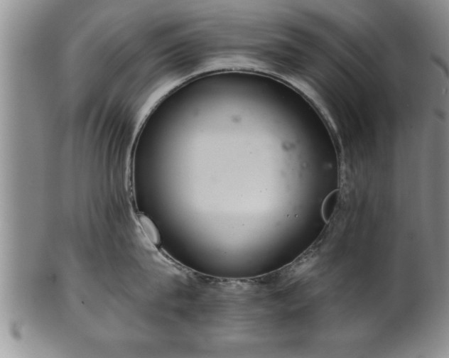 X0000102360815200808081129