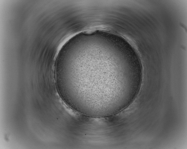 X0000102360816200808081129