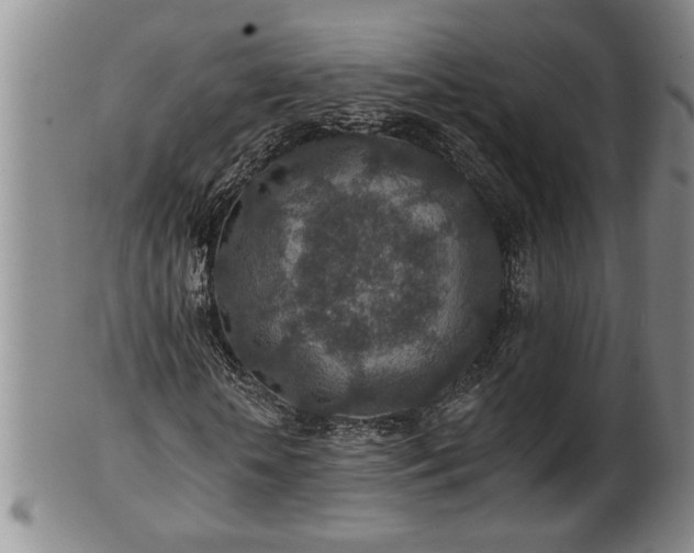X0000102360818200808081128