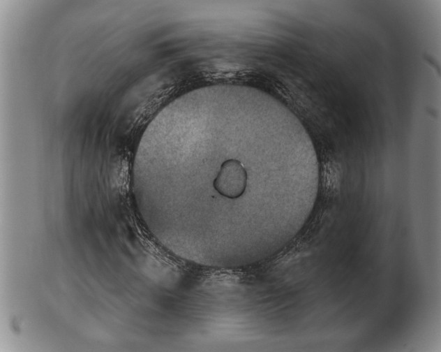 X0000102360820200808081128