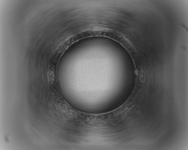 X0000102360821200808081128