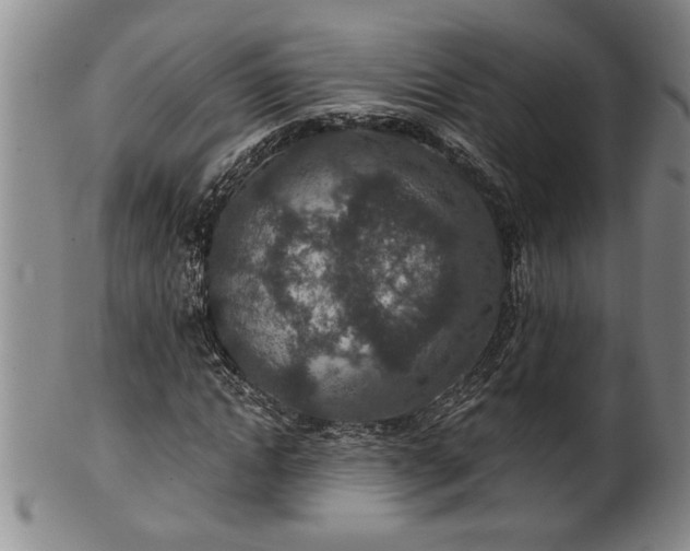 X0000102360822200808081128