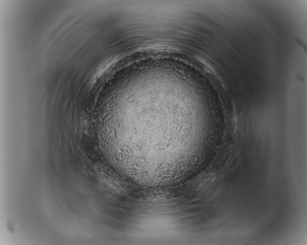X0000102360823200808081128