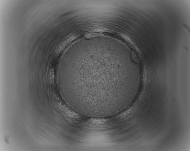 X0000102360825200808081128