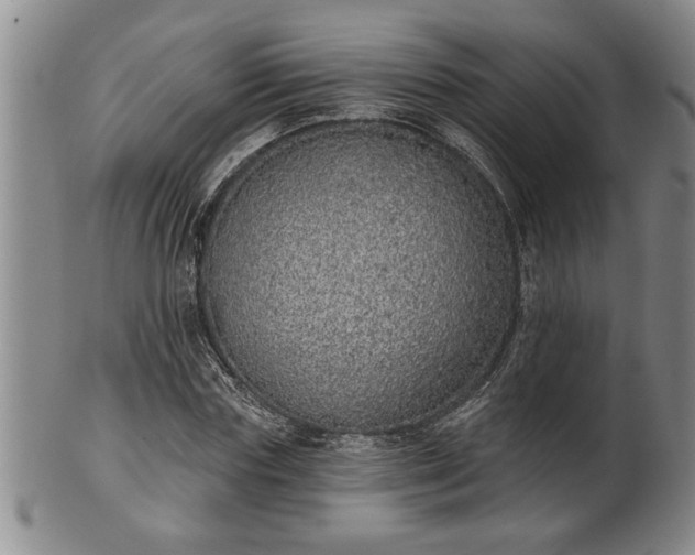 X0000102360827200808081128