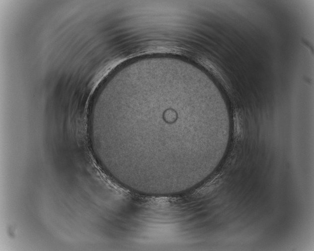 X0000102360828200808081128