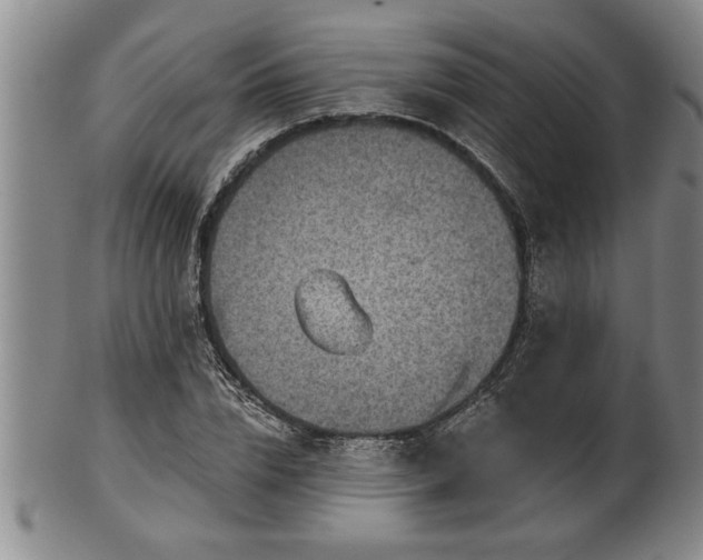 X0000102360832200808081128