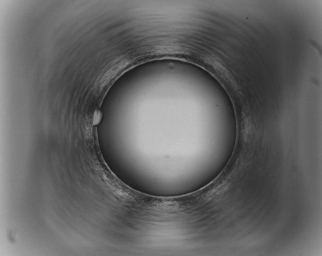 X0000102360833200808081128