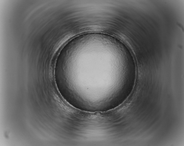 X0000102360835200808081128