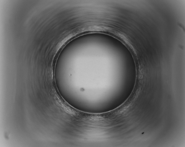 X0000102360837200808081128