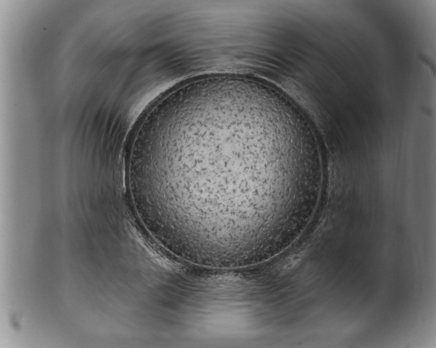 X0000102360838200808081128
