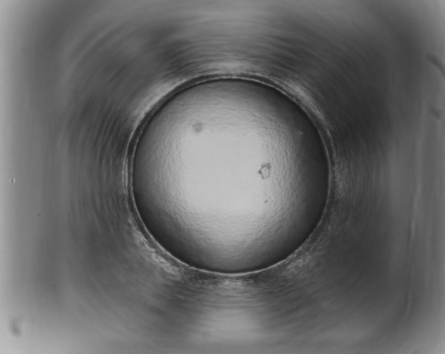 X0000102360839200808081128