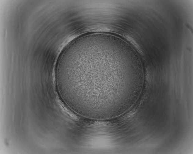 X0000102360840200808081128